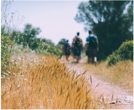 wowe go on a nature walk or hike